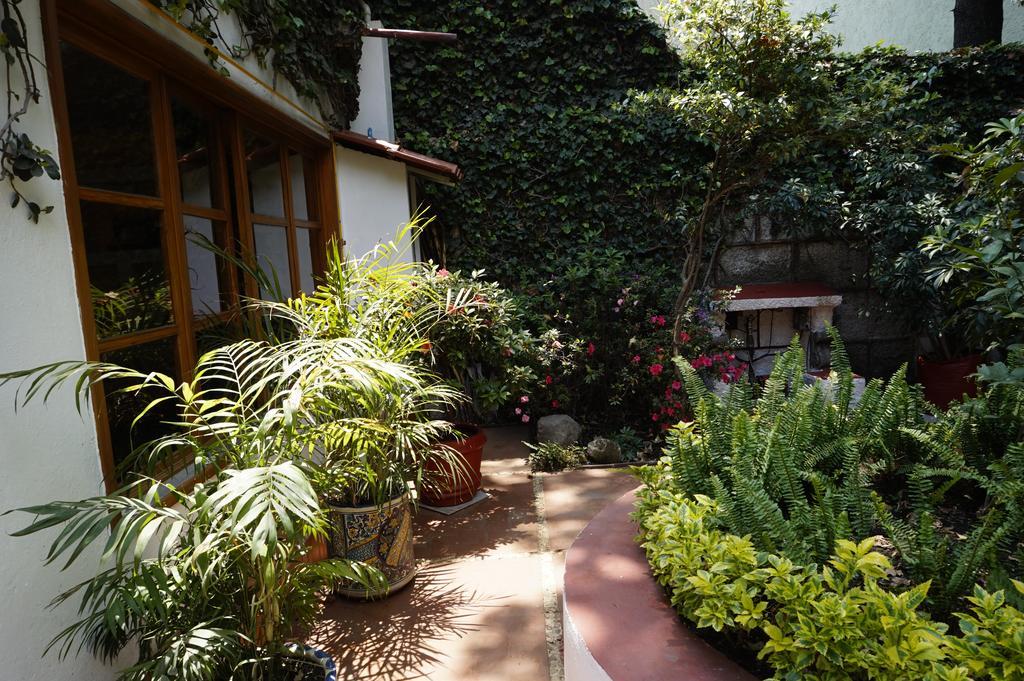 Casa Jacinta Guest House Мехіко Екстер'єр фото