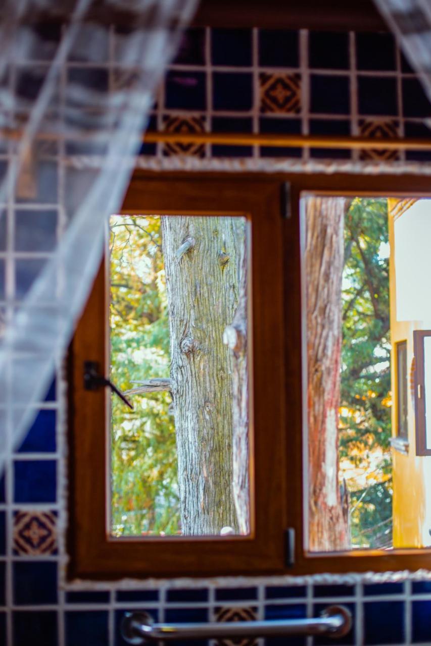 Casa Jacinta Guest House Мехіко Екстер'єр фото